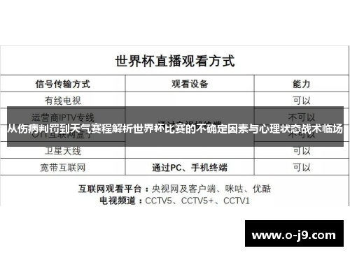 从伤病判罚到天气赛程解析世界杯比赛的不确定因素与心理状态战术临场